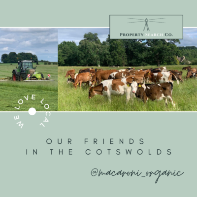 Our Friends in the Cotswolds – Macaroni Organic